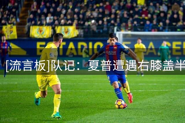 [流言板]队记：夏普遭遇右膝盖半月板撕裂，伤病发生在个人训练中